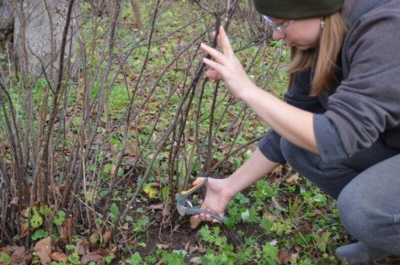 ����� ���������� ��������� ��� �������� ������