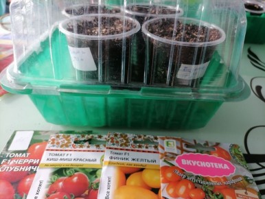 ������ � ��������: ��� ������� ����� � ������� �� ���������