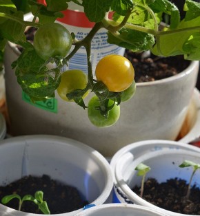 ���������� ��������� ������: ���� � ������ �� ����� ����