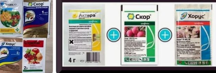 ��� ������� ��������� ��������� � �������� ���������� ����������