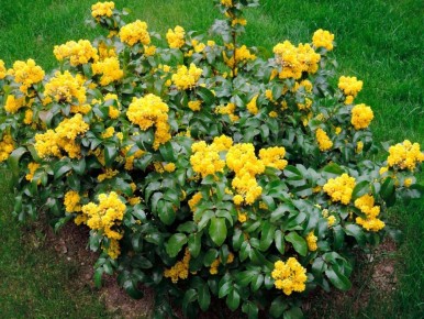 �������: ��������� ����� ��� ������ ��������� ����