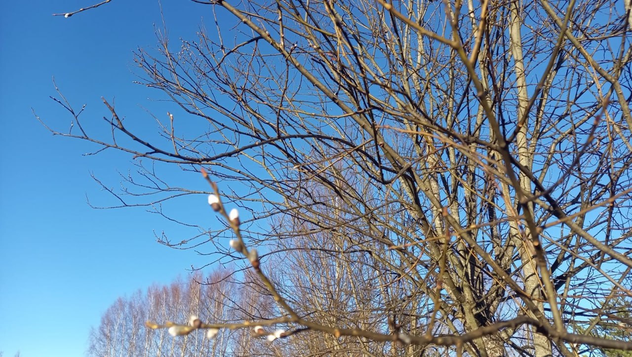 20 марта - день весеннего равноденствия: приметы, гадания и запреты