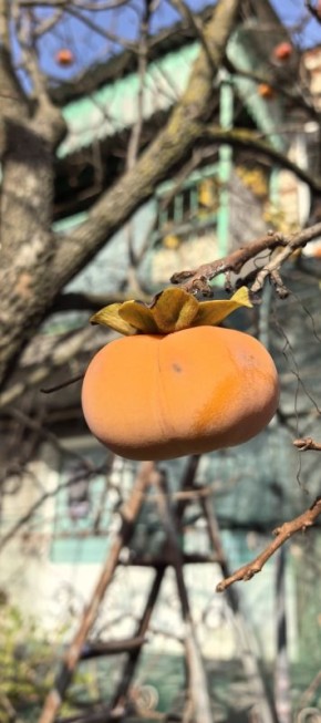 �����: ��������� ������ ����, ������ ��������� � ������ �������