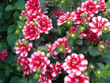 �������� �� ����: ��� ��������� � ��������� �� ������� ����� �����