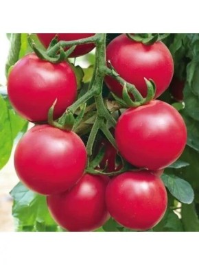 ����� ����� ����: ������� ������ � ���������� ������ � ������� ������������