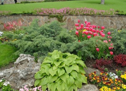 Создание проекта каменистого сада: шаг за шагом к успеху