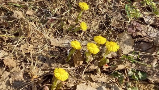 ��������� ����������, ����� �� ������ �� ����� ������ � �������� �������