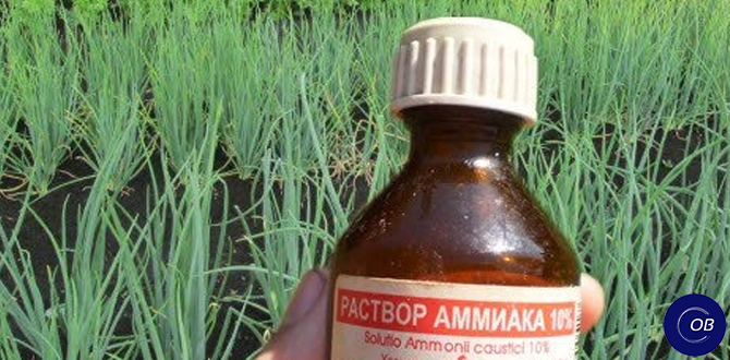 Использование нашатырного спирта на огороде: секреты успешной подкормки