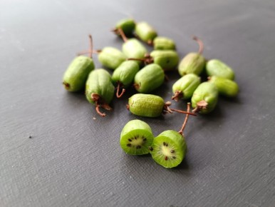 ��� ��������� ���� �� ���� � ������� �������: ������� ���������