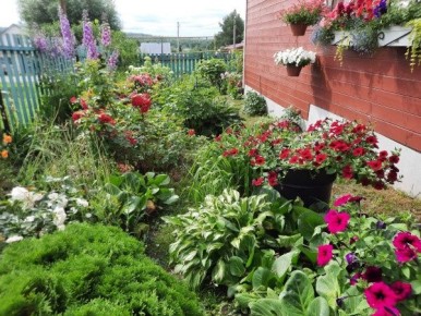 ������ ���� � ��� �� ������ ����� ������