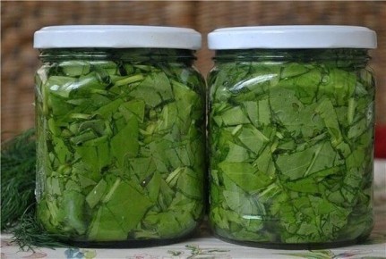 ��������� ������� ��������������� ������ �� ����