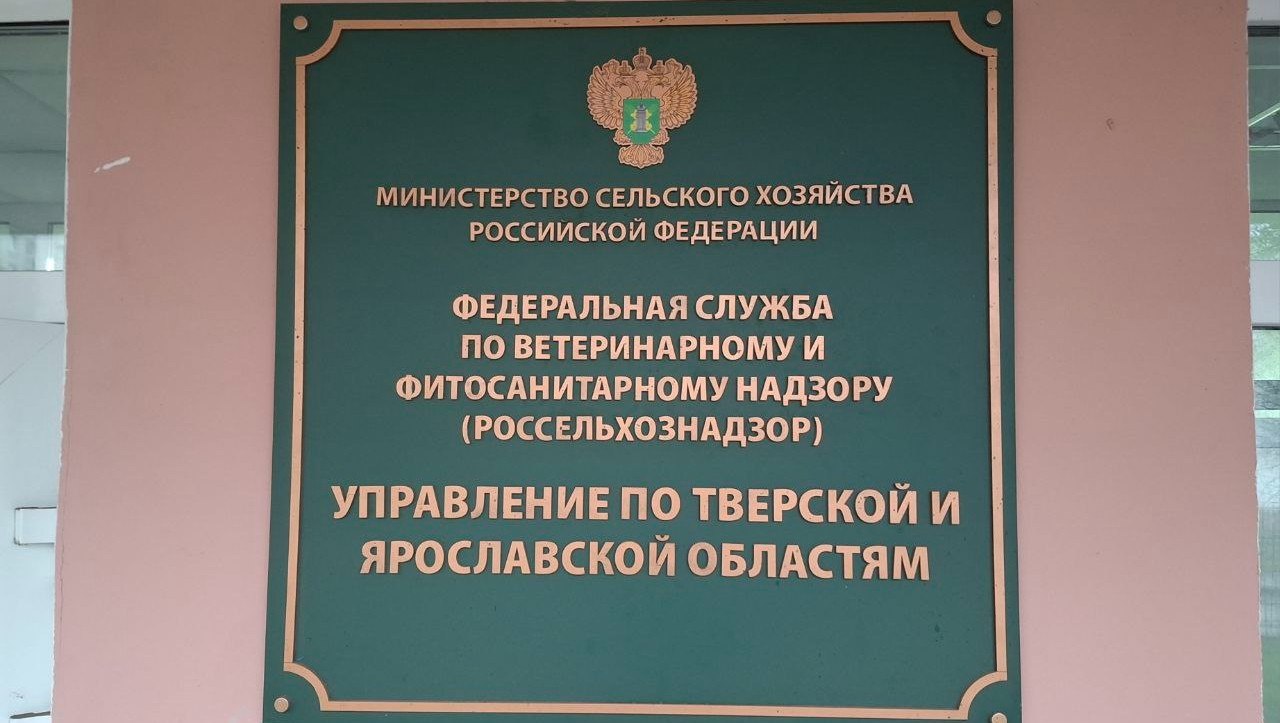 Глава Россельхознадзора объяснил необходимость убоя скота, больного пастереллёзом