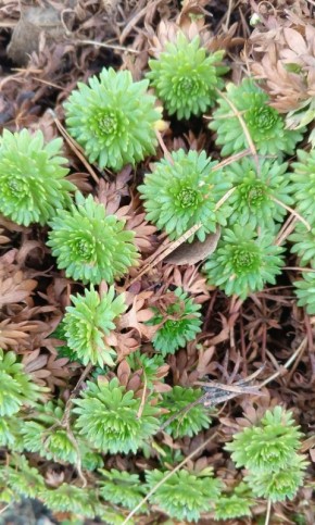 Как жизнь превращается в мгновение: размышления о настоящем счастье