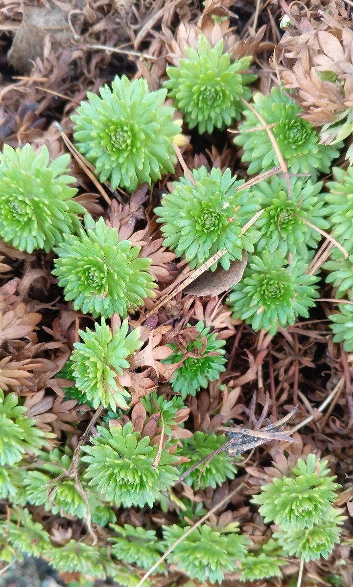 Как жизнь превращается в мгновение: размышления о настоящем счастье