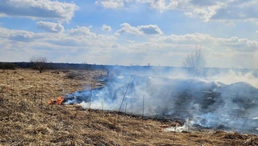 � �������� ������� ������������ ������ ������ ���������� �����