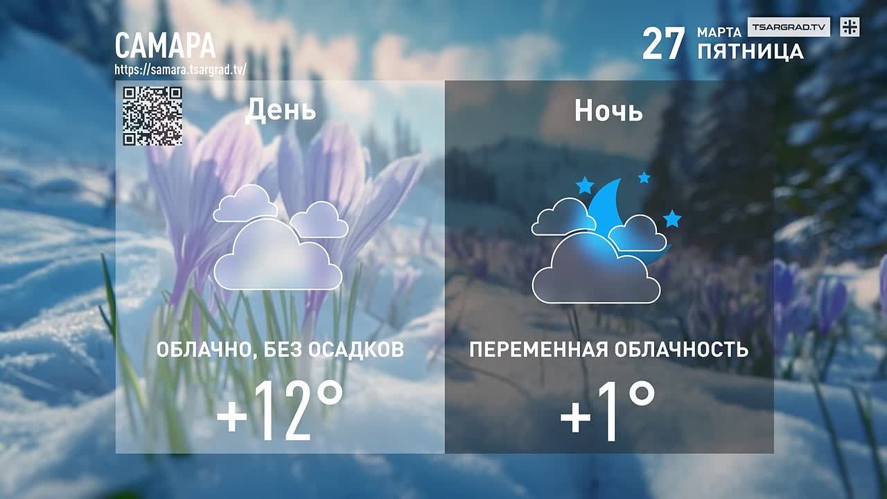 Грачи прилетели! Усталые птицы