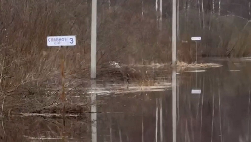 В сапогах пока пройти можно: появилось видео половодья в СНТ под Тверью