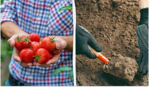 ��� �������� �������� �������� ��� ������ �� ����������