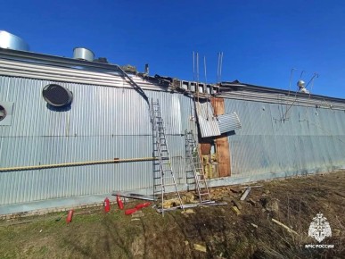 ������� ������� ������ �� ������������ � �����