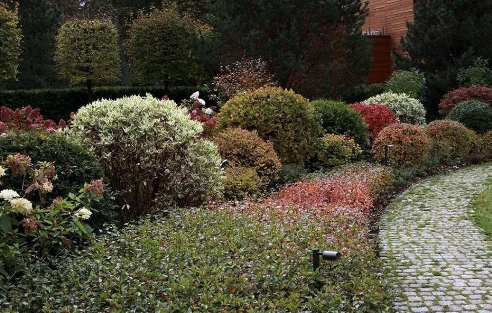 ������� ��� ������: ���������� ��� ������� �������� � ����� ����