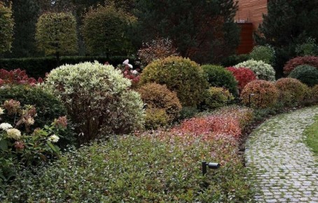 ������� ��� ������: ���������� ��� ������� �������� � ����� ����