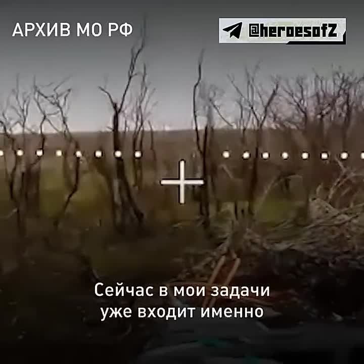 ��������, �� �����������, � ������ �� ��������