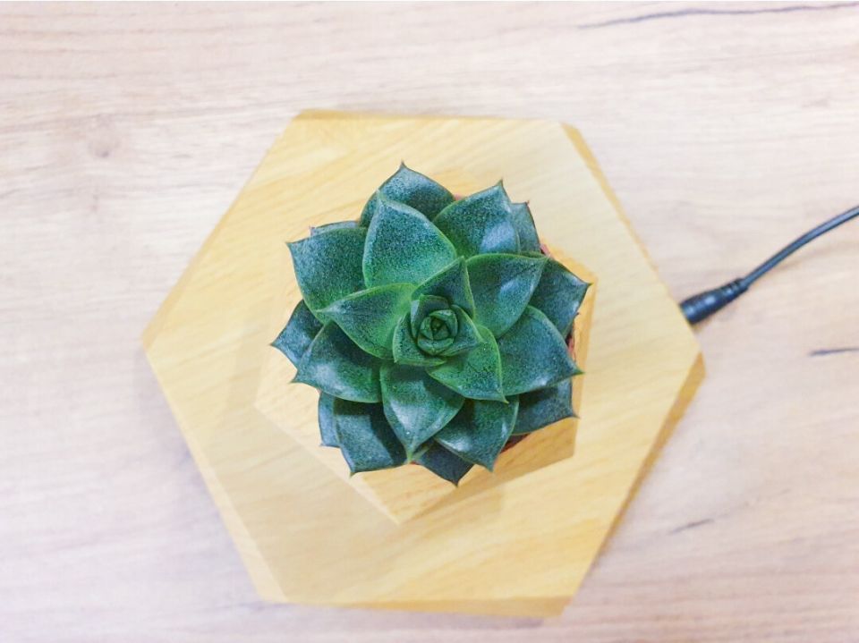 ��� ������������ ������ ������ ������������� � �������� ���������