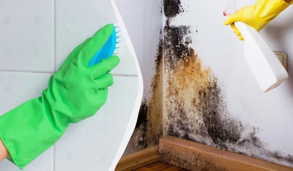 ��� �������� ���������� �� ������ �������: ������� � ��������� ������