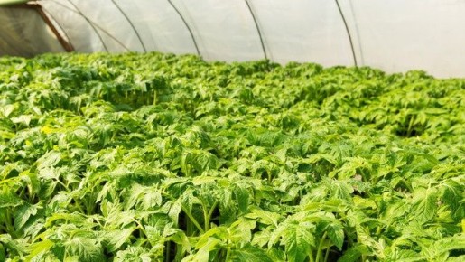 ���������� ������� ������� �������: ������ ��������� ��� ��������� ������