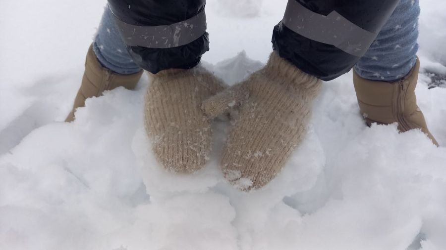 �������� ������: ����� � �������� ������� �������� ����