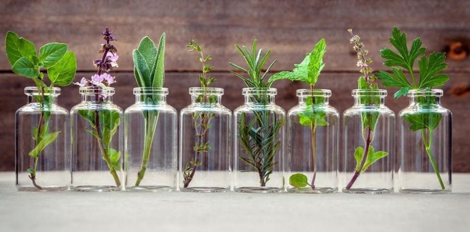 ���������� ������ ����� ����: ������� �������� � ��������