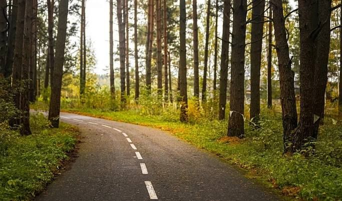 ������ ������������ ����� ������� ������� ��� ����������� �� ������ � �������� ������� �� ����������