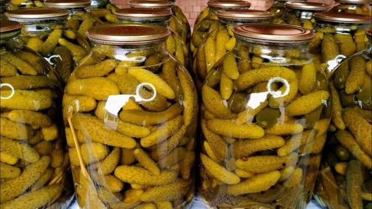 ��������� ����������� ������ ���������