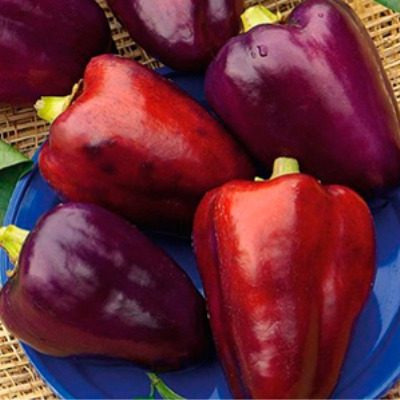 Перец Клякса: фиолетовый шедевр с ярким финалом