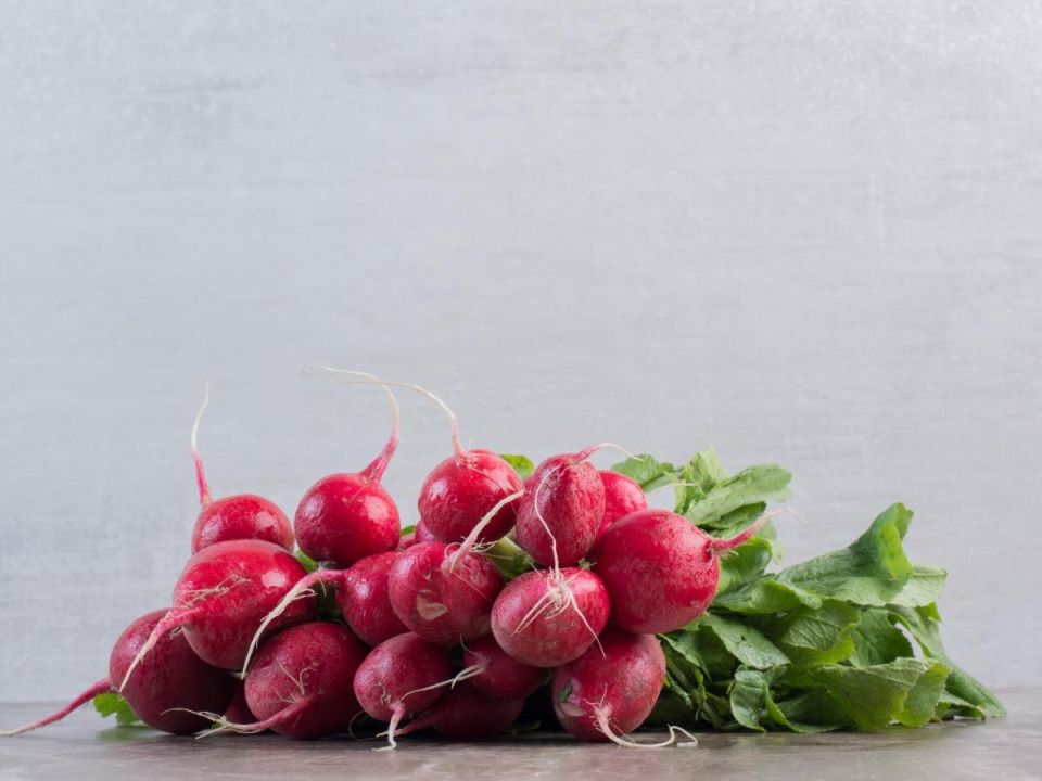 ��� ��������� ����� �� ����������: ����������� ������ ��� ��������