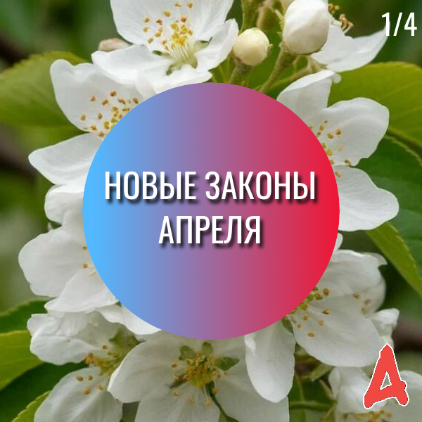 Апрельские изменения в законодательстве: что ждать?