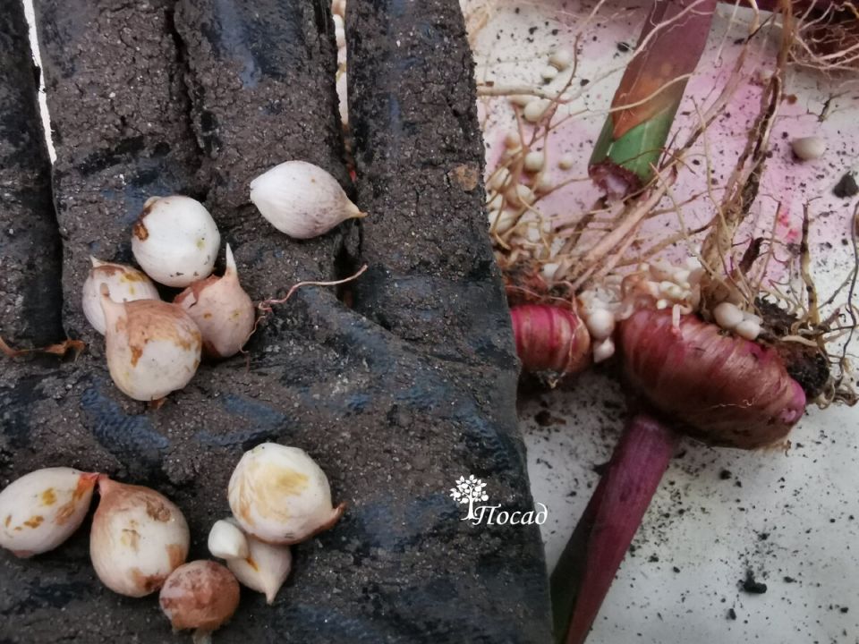 ��� ��������� ����������� ���������� � ���� � ��������� �� �������� �� �����