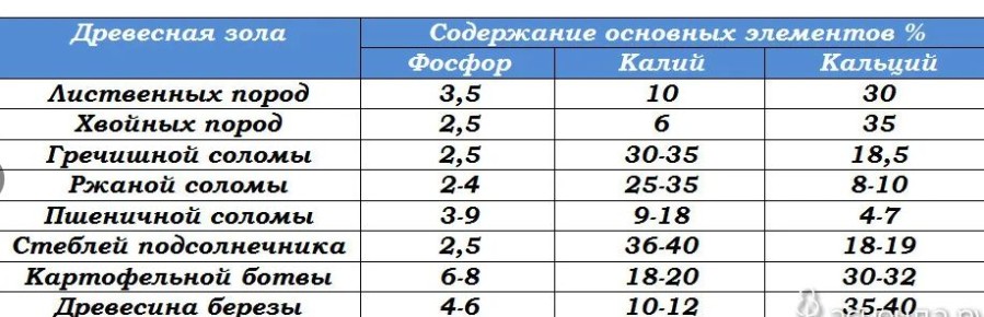 ������������ �������� �����: ��� ������� ��������� ���������