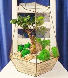 Как флорариумы меняют подход к подаркам на праздники