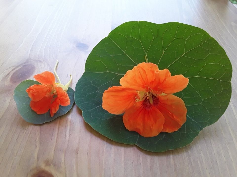 ���������: ����� ���� ������������ ������ ��� ���������� �����?