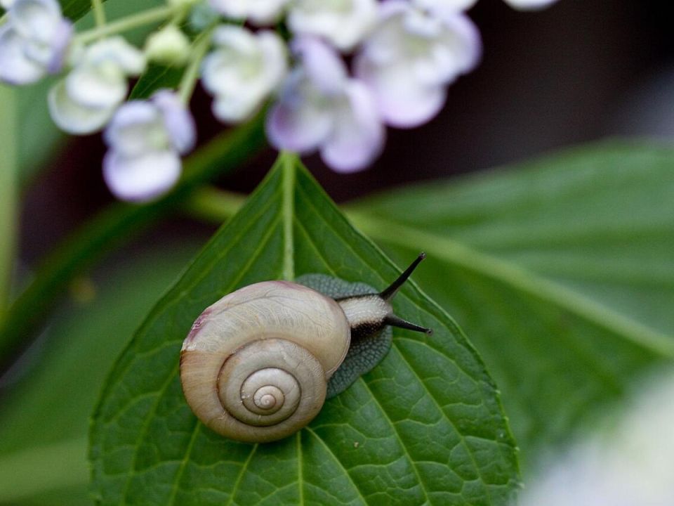 ������ � ������: ����������� �������� ������ ����