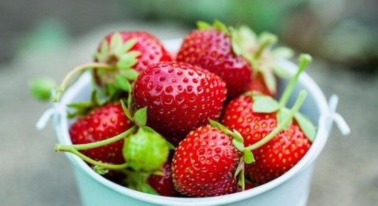 ������ ��������� �������� ������: ����� ��������� ������� � ����� �������