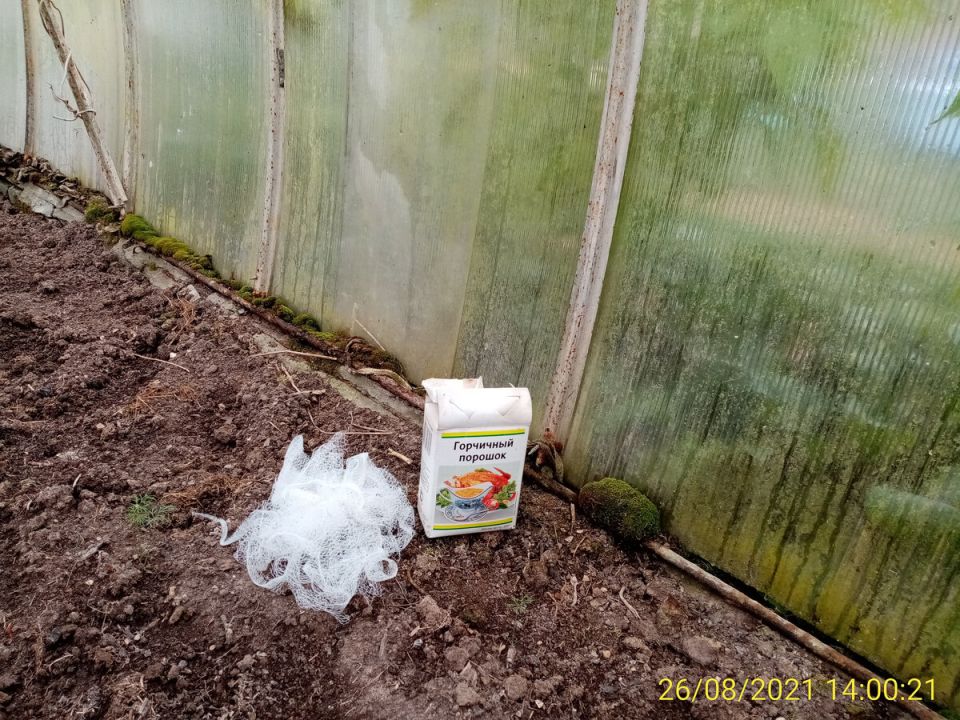 ������� ������: ��� ����������� ��� � ����