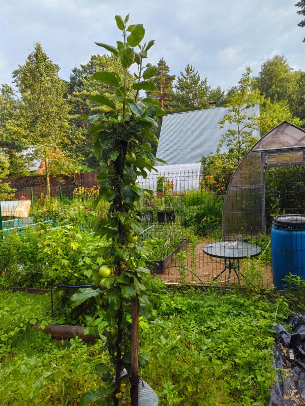 ������������ � ����� � ������������� �������: ��� ����� �����