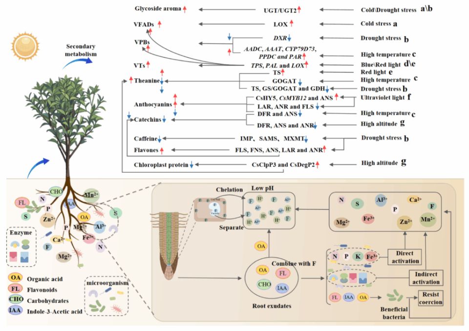 �������, �������� �� �������� ������ ������ �������