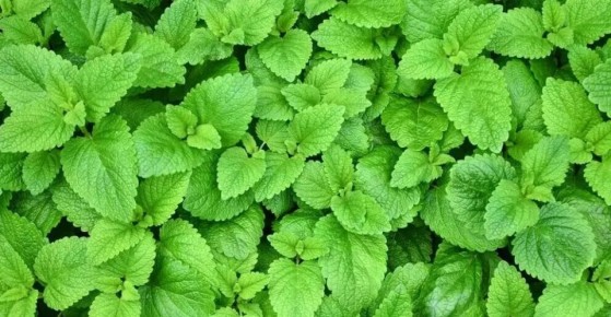 ��������� ����� �� ����� �����������!