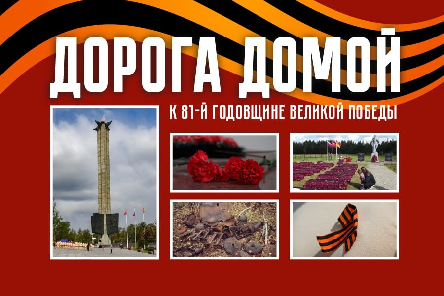 "Дорога домой": Порванный башмак помог найти штурмовик ИЛ-2 в Тверской области