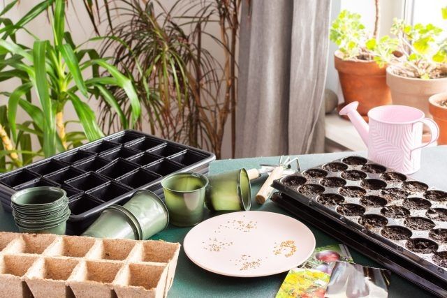 ��� ��������� ����� � ������ �������: ����������� ������ ��������� ���������