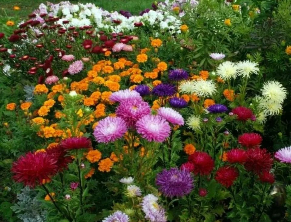 ��������: ��������� ���� � ���� � �������, ������� ������ �����������