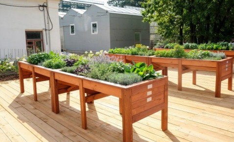 ��� ������� �������� � ������� ������: ����������� ���� ��� ������